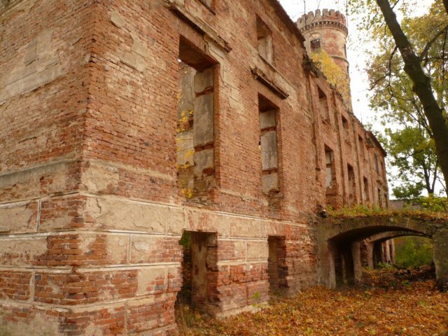photo7.jpg