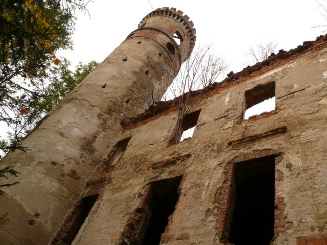 photo9.jpg