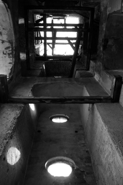 photo4.jpg