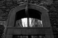 photo6_small.jpg