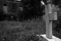 photo7_small.jpg