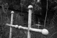 photo9_small.jpg