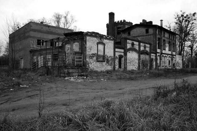 photo.jpg