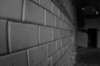 photo7_small.jpg