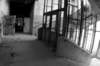 photo13_small.jpg