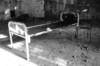 photo8_small.jpg