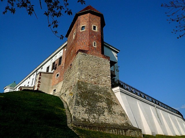 photo7.jpg