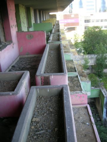 photo11.jpg