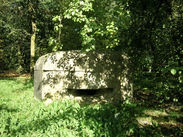 photo2.jpg