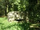 photo2_small.jpg