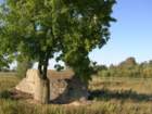 photo3_small.jpg