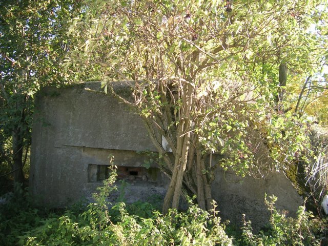 photo4.jpg