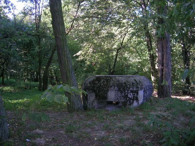 photo7.jpg