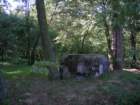photo7_small.jpg