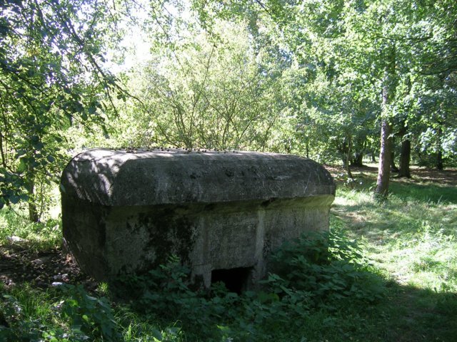 photo9.jpg