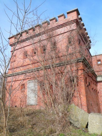 photo15.jpg