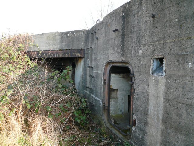 photo3.jpg