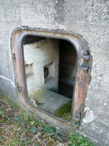 photo5.jpg