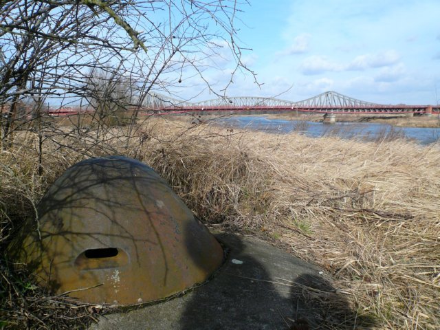 photo6.jpg