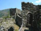 photo4_small.jpg