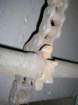 photo5_small.jpg