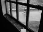 photo9_small.jpg