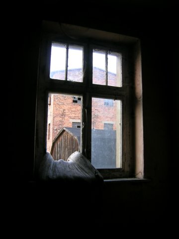 photo10.jpg