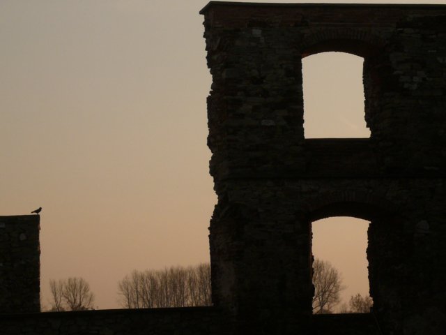 photo7.jpg