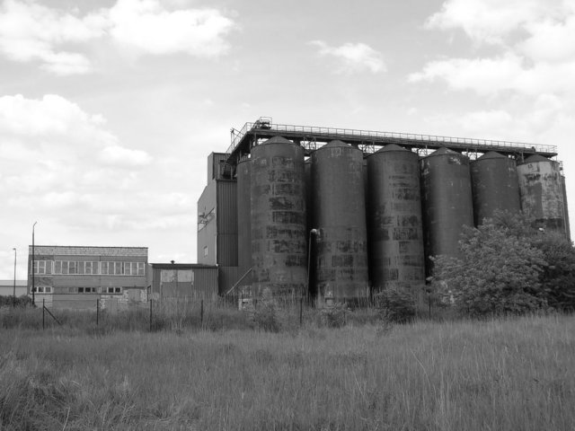 photo.jpg