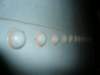 photo12_small.jpg