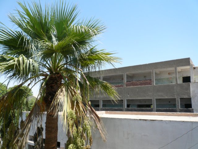 photo28.jpg
