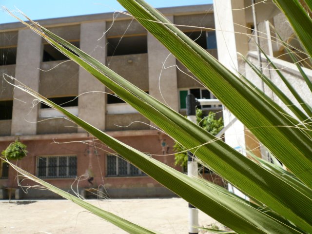 photo36.jpg
