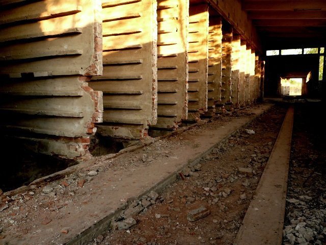photo8.jpg
