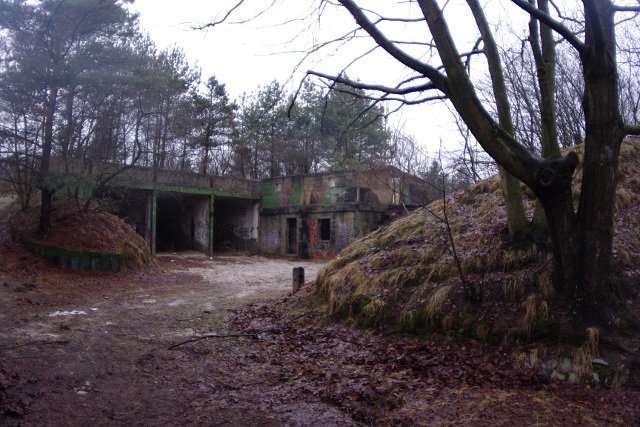 photo.jpg