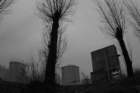 photo3_small.jpg