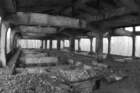 photo5_small.jpg