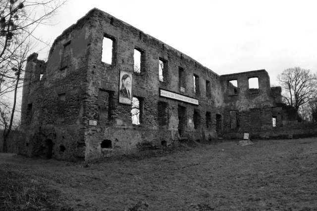 photo.jpg