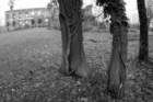 photo5_small.jpg