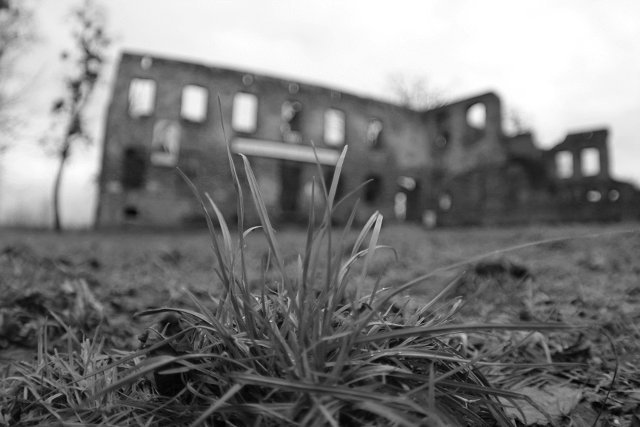 photo6.jpg
