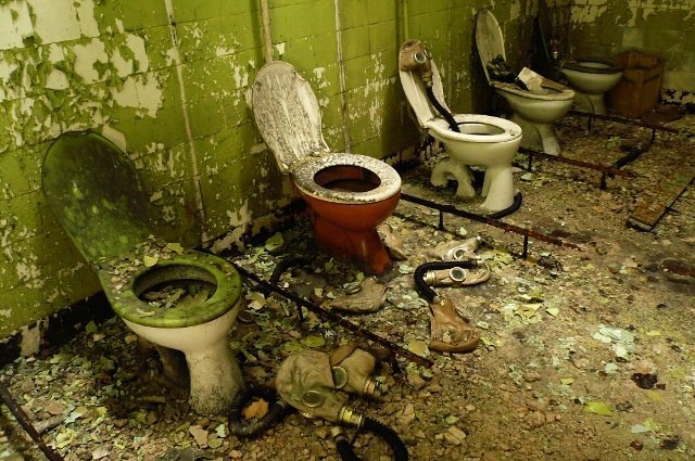 photo.jpg