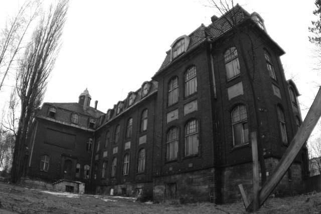 photo.jpg