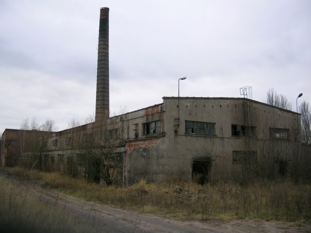 photo.jpg