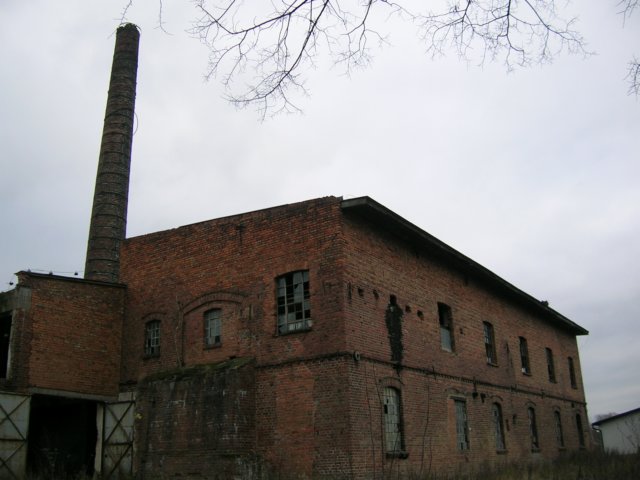 photo3.jpg