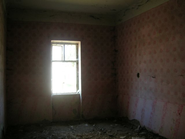 photo3.jpg