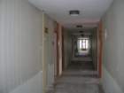 photo8_small.jpg
