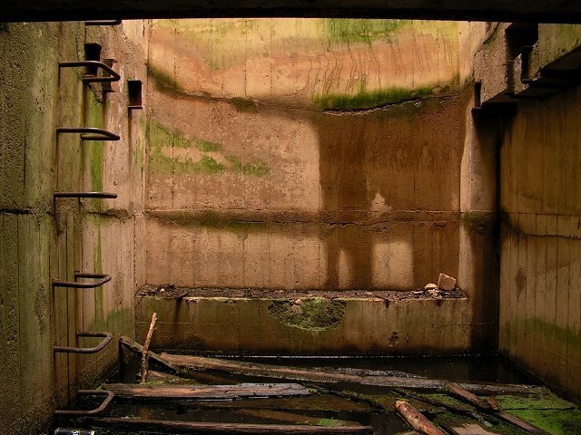 photo10.jpg