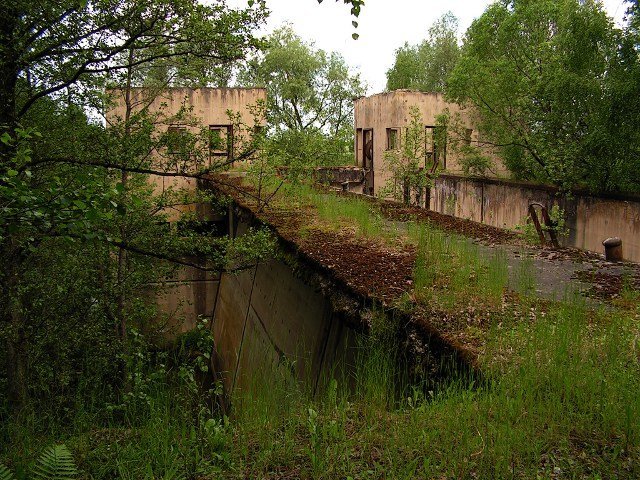 photo15.jpg