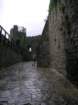photo6_small.jpg