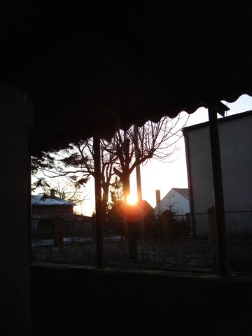 photo11.jpg