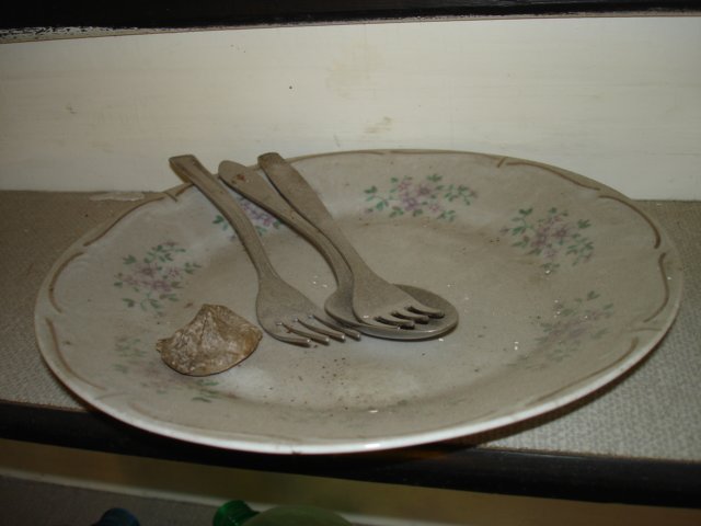 photo9.jpg